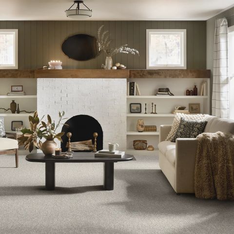 Image depicting the Service Carpet Installation